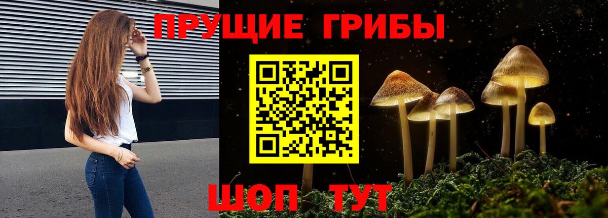 Пушкино  Псилоцибиновые грибы Psilocybe  Вход с VPN  Галлюциногенные грибы Cubensis 